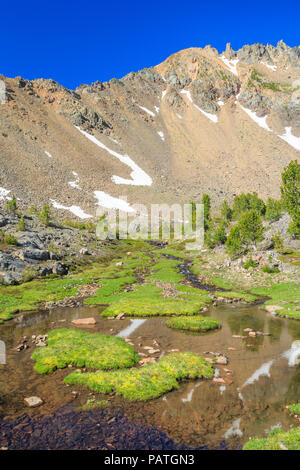 Cours supérieur de la rivière South pics ci-dessous de la racine du tabac montagnes près de mammouth, Montana Banque D'Images