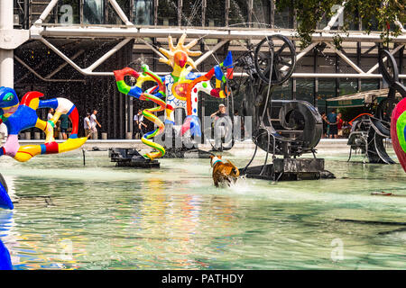 Un chien joue dans la Fontaine Stravinsky, à côté du Centre Pompidou, Paris, France Banque D'Images