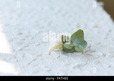 Petite boutonnière à partir de fleurs fraîches. Un accessoire mariage dentelle blanche sur Banque D'Images