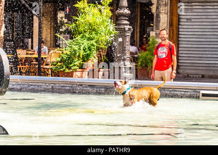 Un chien joue dans la Fontaine Stravinsky, à côté du Centre Pompidou, Paris, France Banque D'Images