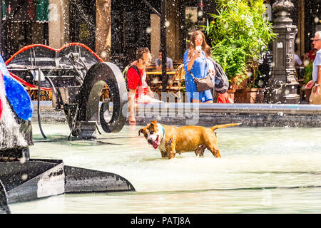 Un chien joue dans la Fontaine Stravinsky, à côté du Centre Pompidou, Paris, France Banque D'Images