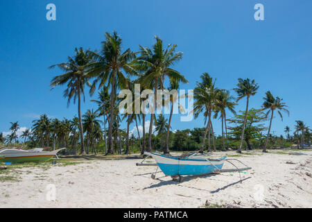 Bateaux fihing rustique garé sur une plage de sable blanc avec des cocotiers dans le nord de Cebu, Philippines Banque D'Images