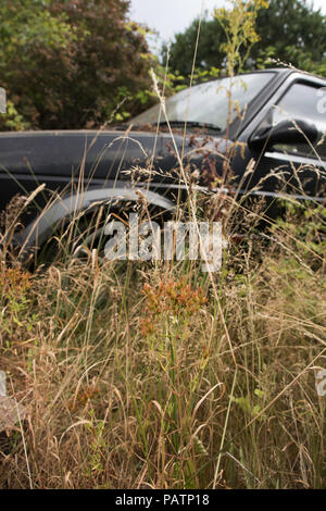 Voiture à moteur essence abandonnés sous-bois. Banque D'Images