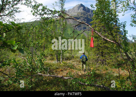 Sarek National Park - randonnée au Mont Tjahkkelij. Jokkmokk, Norrbotten, Suède Banque D'Images