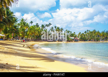 Lieu de vacances idéal. Plage parfaite en République Dominicaine. Bleu de la mer, hauteur des palmiers et ciel bleu Banque D'Images