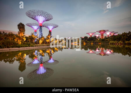 Supertrees, Singapour, éclairé au crépuscule et se reflètent dans le lac de libellules, des jardins de la baie. Banque D'Images