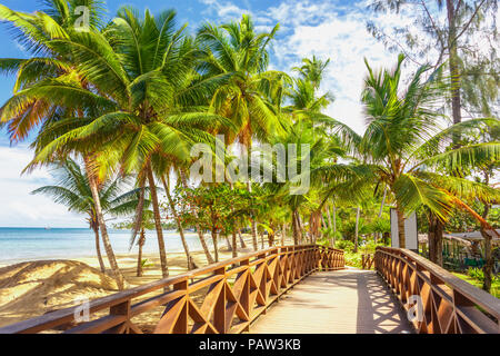 Pont de bois parmi les palmiers sur la plage Banque D'Images