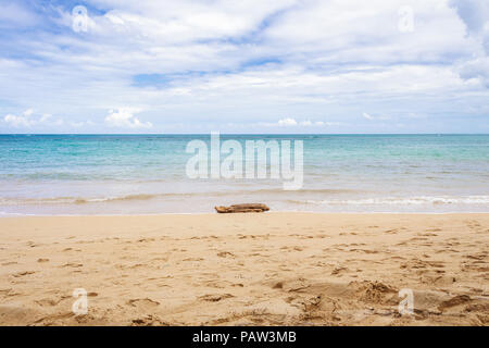 Plage de sable vide après la tempête. Bois flotté sur le sable. Banque D'Images