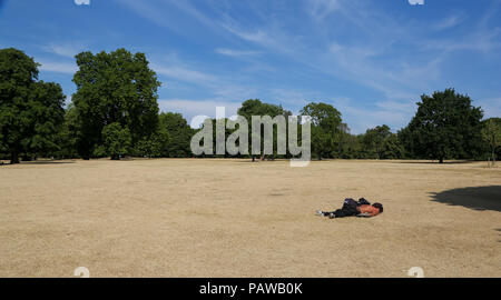 Hyde Park. Londres. UK 25 Juillet 2018 - Un homme de soleil sur l'herbe desséchée Hyde Park sur une journée très chaude et humide dans la capitale. D'après le Met Office la température de Londres et du sud-est est susceptible d'atteindre 35 degrés celsius le jeudi. Credit : Dinendra Haria/Alamy Live News Banque D'Images