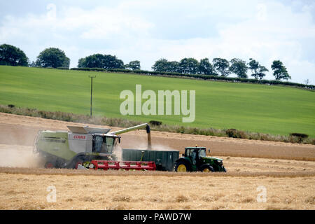 Kelso, Ecosse, 25 juillet 2018. Moissonneuse-batteuse dans Scottish Borders Tom Stewart de Sandyknowe Farm, près de Kelso dans les Scottish Borders, dans un rendmt Lexion Claas 660 Vario 770 avec barre de coupe à la moissonneuse-batteuse, qui travaillent dans les champs près de sa ferme, le mercredi 25 juillet 2018. (Photo de Rob Gray / offres de crédit) : Rob Gray/Alamy Live News Banque D'Images