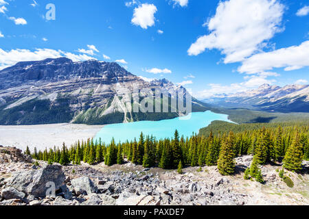 Vue grand angle du sommet Bow de Peyto Lake dans le parc national de Banff sur la promenade des Glaciers. Le glacier lac est célèbre pour sa couleur unique Banque D'Images