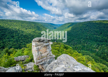 Vue sur le Canyon de Blackwater Lindy Point, au parc d'état de Blackwater Falls, West Virginia. Banque D'Images