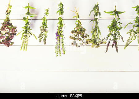 Herbes fraîches isolated on white background. Cuisine, herbes médicinales, la menthe, le thym, hysope, origan Banque D'Images