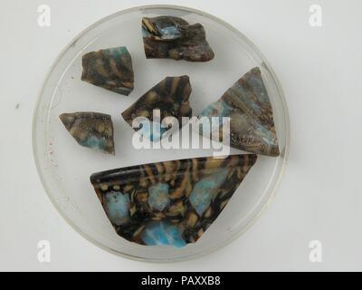 Des fragments de verre à partir d'un navire. Culture : le copte. Dimensions : Stockage (petri diam.) : 2 5/8 in. (6,6 cm). Date : 4ème au début du 5e siècle. Musée : Metropolitan Museum of Art, New York, USA. Banque D'Images