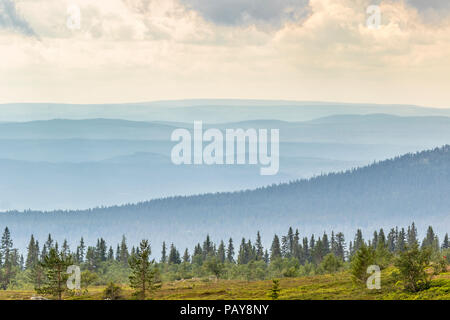 Paysage de forêt avec vue sur les collines d'ombrages Banque D'Images