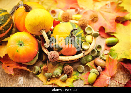 Mini citrouille décorative avec glands sur les feuilles d'automne Banque D'Images