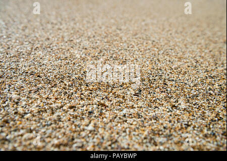 Close-up abstraite de la texture du sable fait à partir de coquilles brisées et corail sur une plage tropicale Banque D'Images