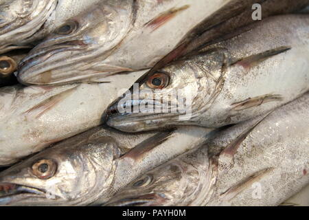 Le poisson. Vendeur de poisson. Le poisson pour la vente. De Poisson. La viande blanche. La dorade. Le vivaneau. Variété de poissons. Marché de Billingsgate. L'alimentation. L'huile de poisson Omega 3. Poisson humide. La vie de la mer. Alimentation saine. Crédit photo Russell Moore. Banque D'Images