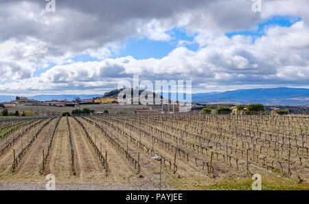 Vue d'un vignoble avec les souches parfaitement alignés mais sans les feuilles ou les raisins sur un très froid et nuageux jour d'hiver, avec un typique village de La Rioj Banque D'Images