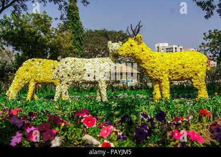 Arrangements de fleurs magnifiques et la décoration dans le jardin. Banque D'Images