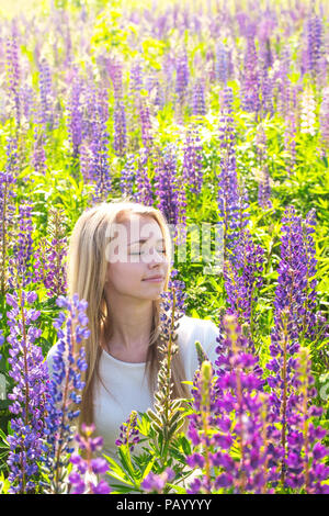 Fille dans la mer de lupins Banque D'Images