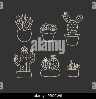 Différents types de pots de plantes grasses cactus en contour linéaire d'illustration vectorielle mignon jeu de croquis Illustration de Vecteur