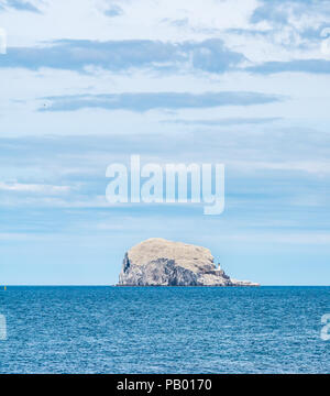 Bass Rock, la plus grande colonie de gannets du Nord, blanc avec des mannets nicheurs en été, Firth of Forth, Écosse, Royaume-Uni Banque D'Images