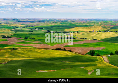 Région de Palouse Washington Banque D'Images