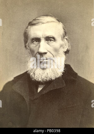 John Tyndall (1820-93), physicien irlandais, enseignant en médecine, Portrait, 1880 Banque D'Images