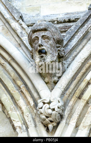 Gargouille en pierre sculptée sur la cathédrale de Salisbury Banque D'Images