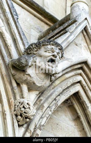 Gargouille en pierre sculptée sur la cathédrale de Salisbury Banque D'Images