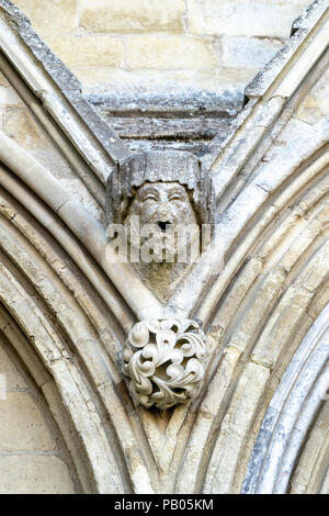 Gargouille en pierre sculptée sur la cathédrale de Salisbury Banque D'Images