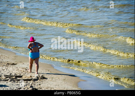 Plage de Gdansk est fermé à cause des cyanobactéries bloom au cours des derniers jours de chaleur à Gdansk, Pologne 24 juillet 2018 © Wojciech Strozyk / Alamy Stock Photo Banque D'Images
