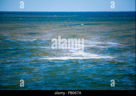 Plage de Gdansk est fermé à cause des cyanobactéries bloom au cours des derniers jours de chaleur à Gdansk, Pologne 24 juillet 2018 © Wojciech Strozyk / Alamy Stock Photo Banque D'Images