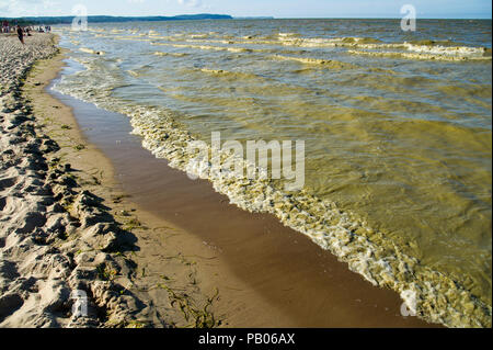 Plage de Gdansk est fermé à cause des cyanobactéries bloom au cours des derniers jours de chaleur à Gdansk, Pologne 24 juillet 2018 © Wojciech Strozyk / Alamy Stock Photo Banque D'Images