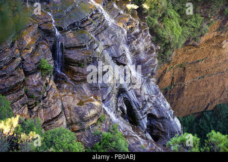 Close up bird voir chute falaise rock mountain Banque D'Images