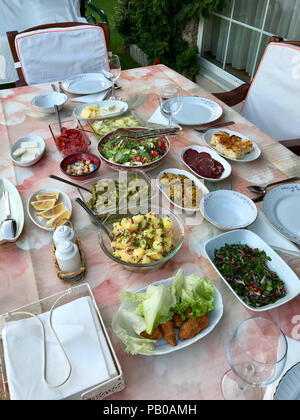 La nourriture turque de l'été Déjeuner dans le jardin avec de l'huile d'Olive les légumes, salade de pommes de terre, Borek, pastrami, de la salade et du fromage. La nourriture traditionnelle. Banque D'Images