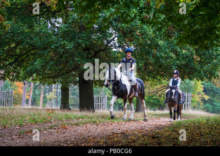 Deux cavaliers sur un sentier équestre dans le parc de Richmond, Surrey, Angleterre, Royaume-Uni, Banque D'Images