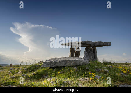 Dolmen de Poulnabrone, tombeau de pierre préhistoriques, ou portail tombe, le Burren, comté de Clare en République d'Irlande Banque D'Images
