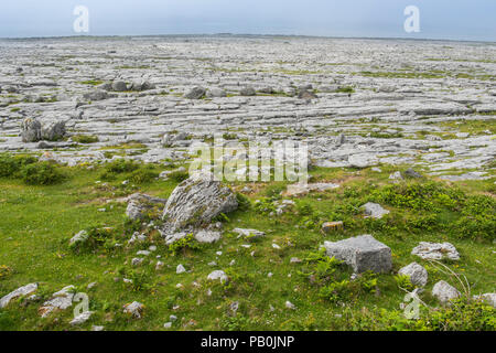 Paysage karstique du Burren, comté de Clare, Ballyvaughan, Irlande Banque D'Images