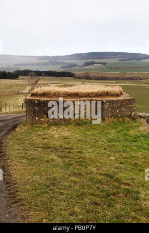 Pilulier datant de la Seconde Guerre mondiale dans la campagne du Northumberland, Angleterre. La position défensive en béton est dans le Cheviot Hills. Banque D'Images