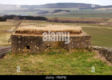 Pilulier datant de la Seconde Guerre mondiale dans la campagne du Northumberland, Angleterre. La position défensive en béton est dans le Cheviot Hills. Banque D'Images