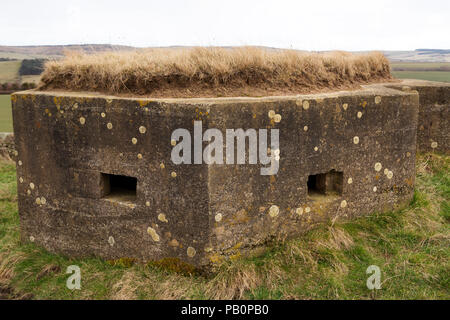 Pilulier datant de la Seconde Guerre mondiale dans la campagne du Northumberland, Angleterre. La position défensive en béton est dans le Cheviot Hills. Banque D'Images