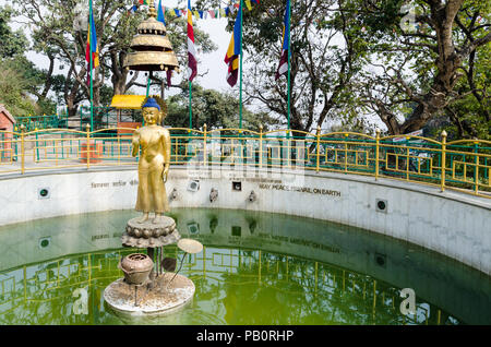 La paix dans le monde de l étang à Swayambhunath Temple de singe ou à Katmandou, Népal Banque D'Images