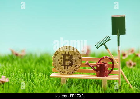 Bitcoin or coin sur le banc du jardin, au concept d'investissement Banque D'Images