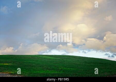 Un vert luxuriant métal sur le flanc du Vermont au printemps Banque D'Images