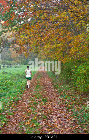 Une femme en jogging les Berkshires dans l'Ouest Ma Banque D'Images