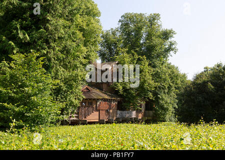 La cabane à jardin d'Alnwick dans le Northumberland, en Angleterre. Le treehouse abrite un café et restaurant. Banque D'Images