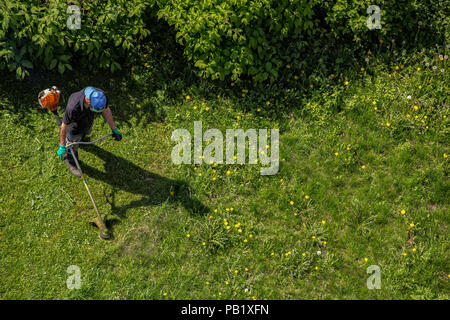 Travailleur masculin avec chaîne d'outils de jardin tondeuse à gazon Tondeuse gazon, vue d'en haut Banque D'Images