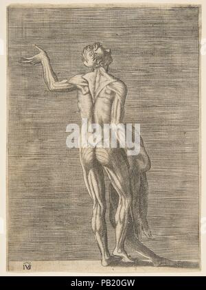 L'homme écorché avec la main gauche sur la hanche, tenant dans la main droite de la peau. Artiste : Giulio Bonasone (Italien, actif à Rome et Bologne, 1531-après 1576). Fiche technique : Dimensions : 6 x 4 7/16 in. (15.3 x 11.2 cm). Date : ca. 1531-76. Musée : Metropolitan Museum of Art, New York, USA. Banque D'Images